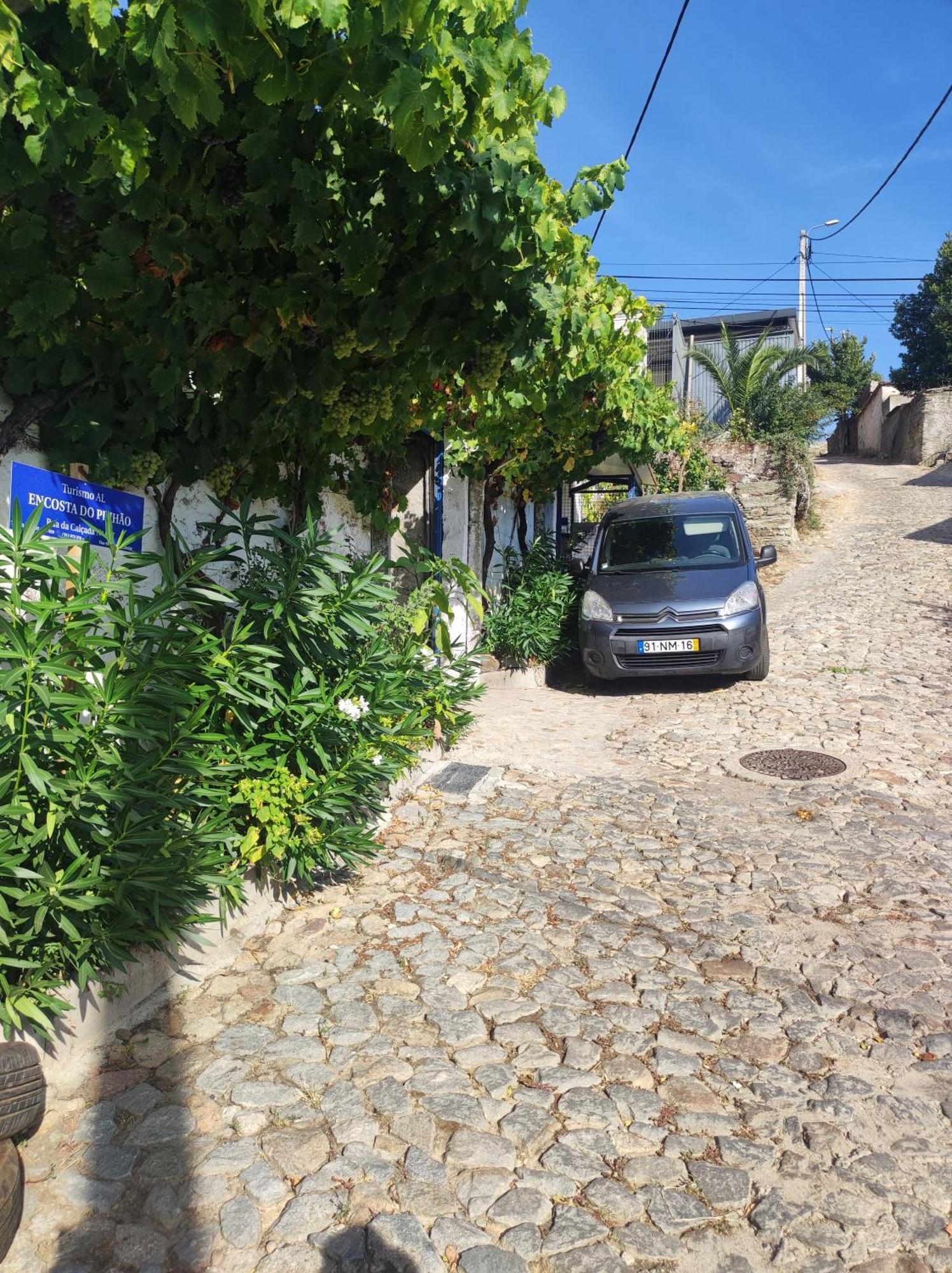 Вилла Encosta Do Pinhao Casal de Loivos Экстерьер фото